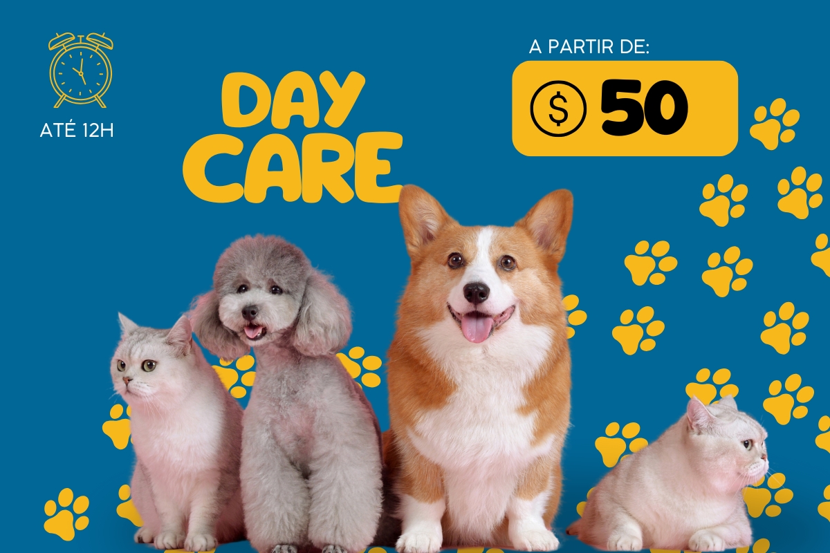 Serviços de Day Care
