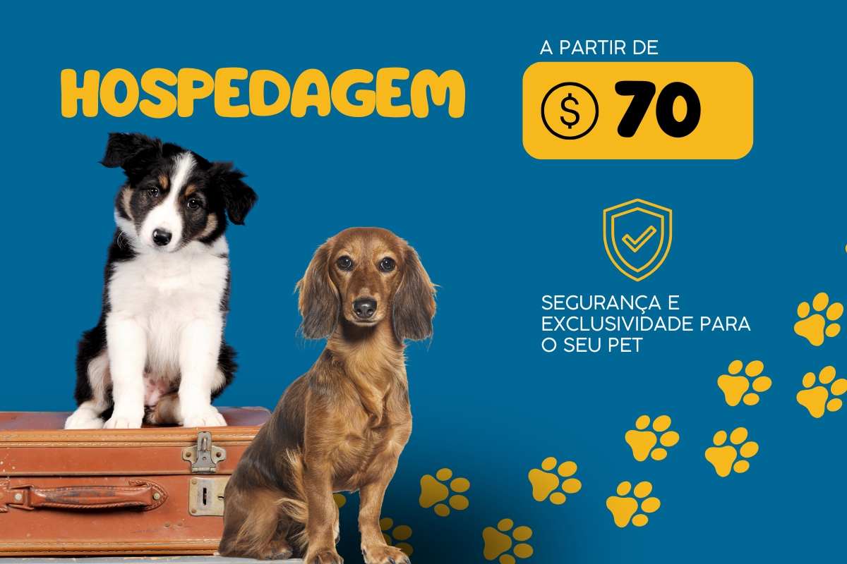 Serviços de Hospedagem