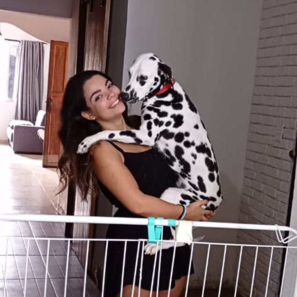 Pérola, Dálmata, serviço de Pet Sitter